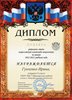 Гунченко РО химия 2012-2013
